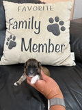Gabby’s June 2026 Litter