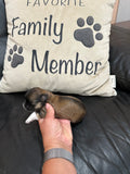 Gabby’s June 2026 Litter