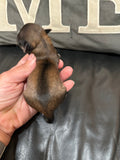 Gabby’s June 2026 Litter