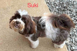 Suki